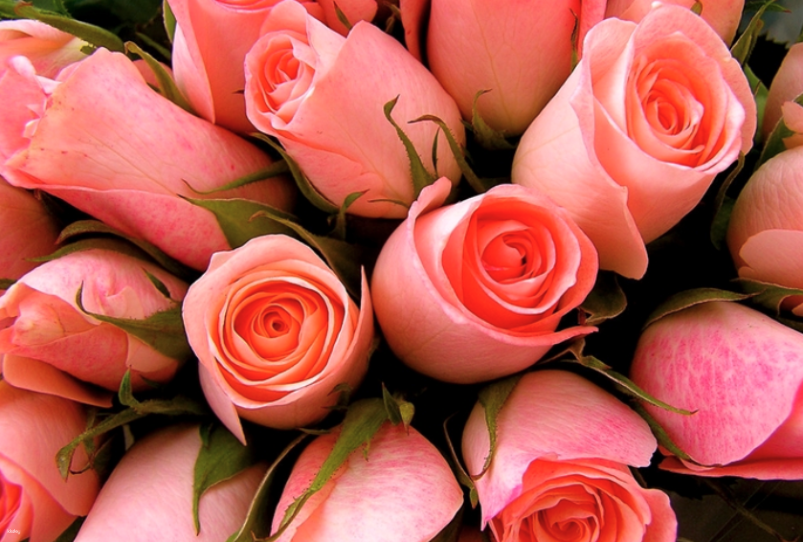 Cebu Flower Delivery Gift Service (Anniversary Bouquet/Cake/Wine) - Photo 1 of 5