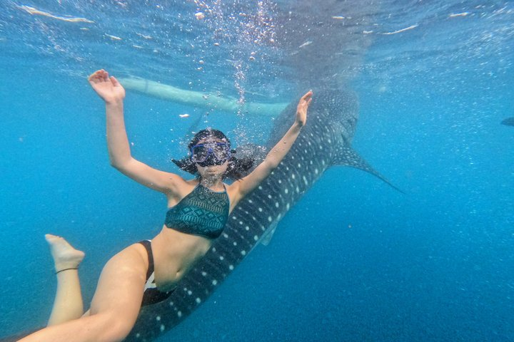 Oslob Whale Shark & Tumalog Waterfalls & Sumilon Sandbar - Photo 1 of 10