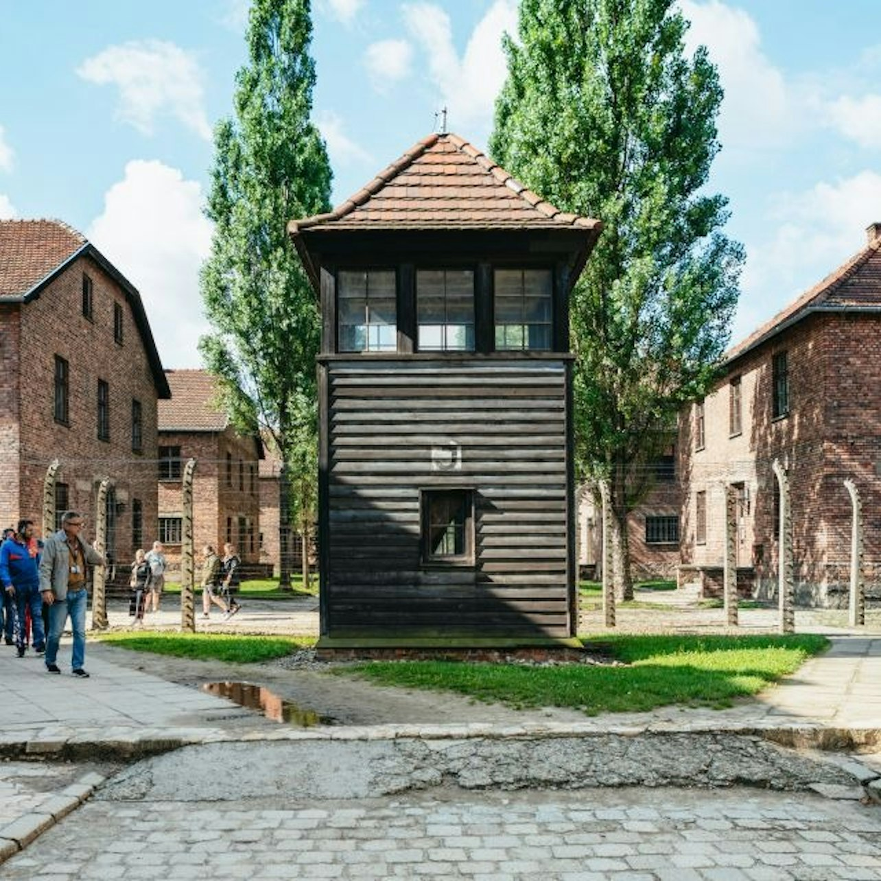 Auschwitz-Birkenau: Guided Tour + Transport - Photo 1 of 10