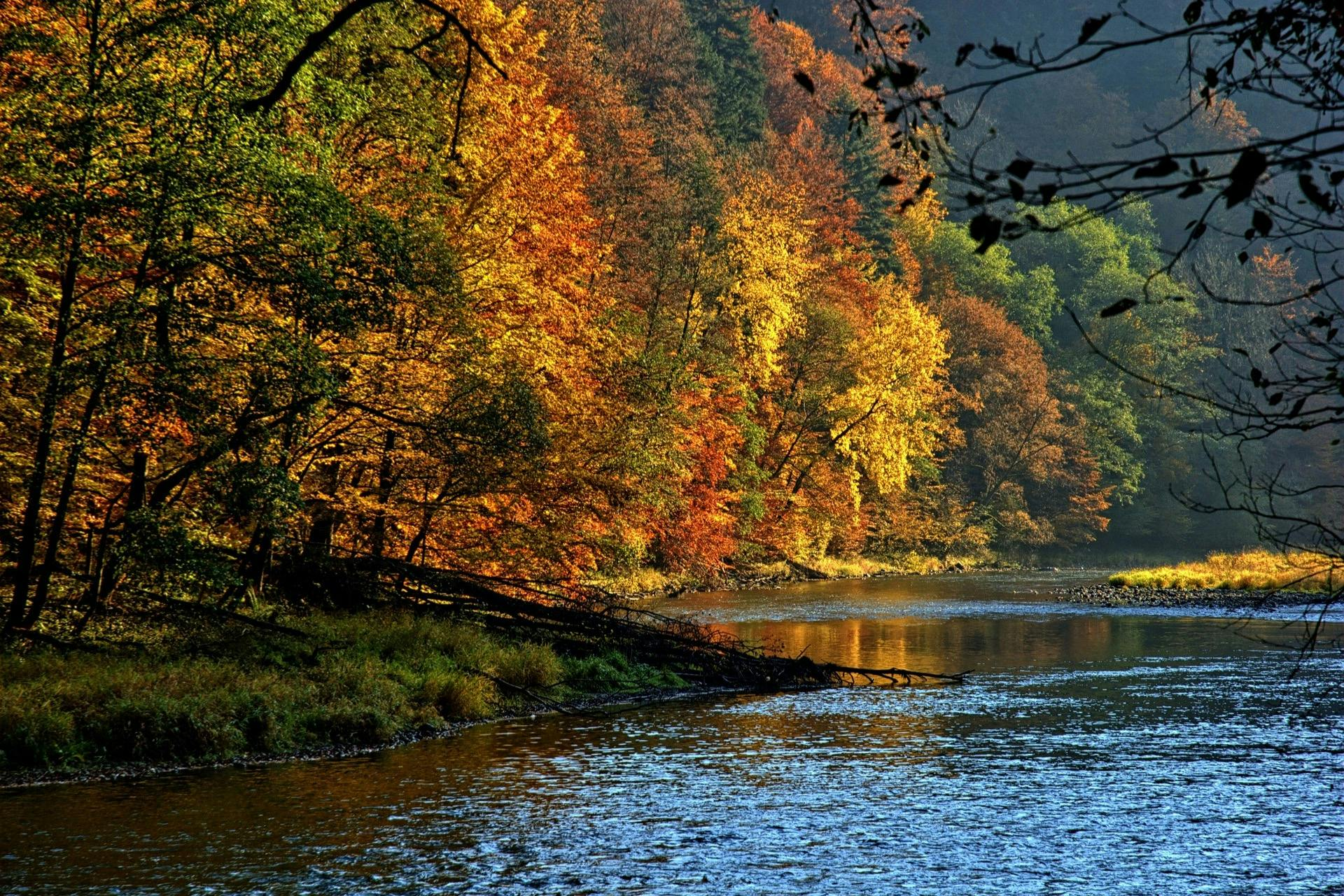 Krakow: Dunajec River Rafting Tour, Roundtrip Transfer + Lunch - Photo 1 of 5