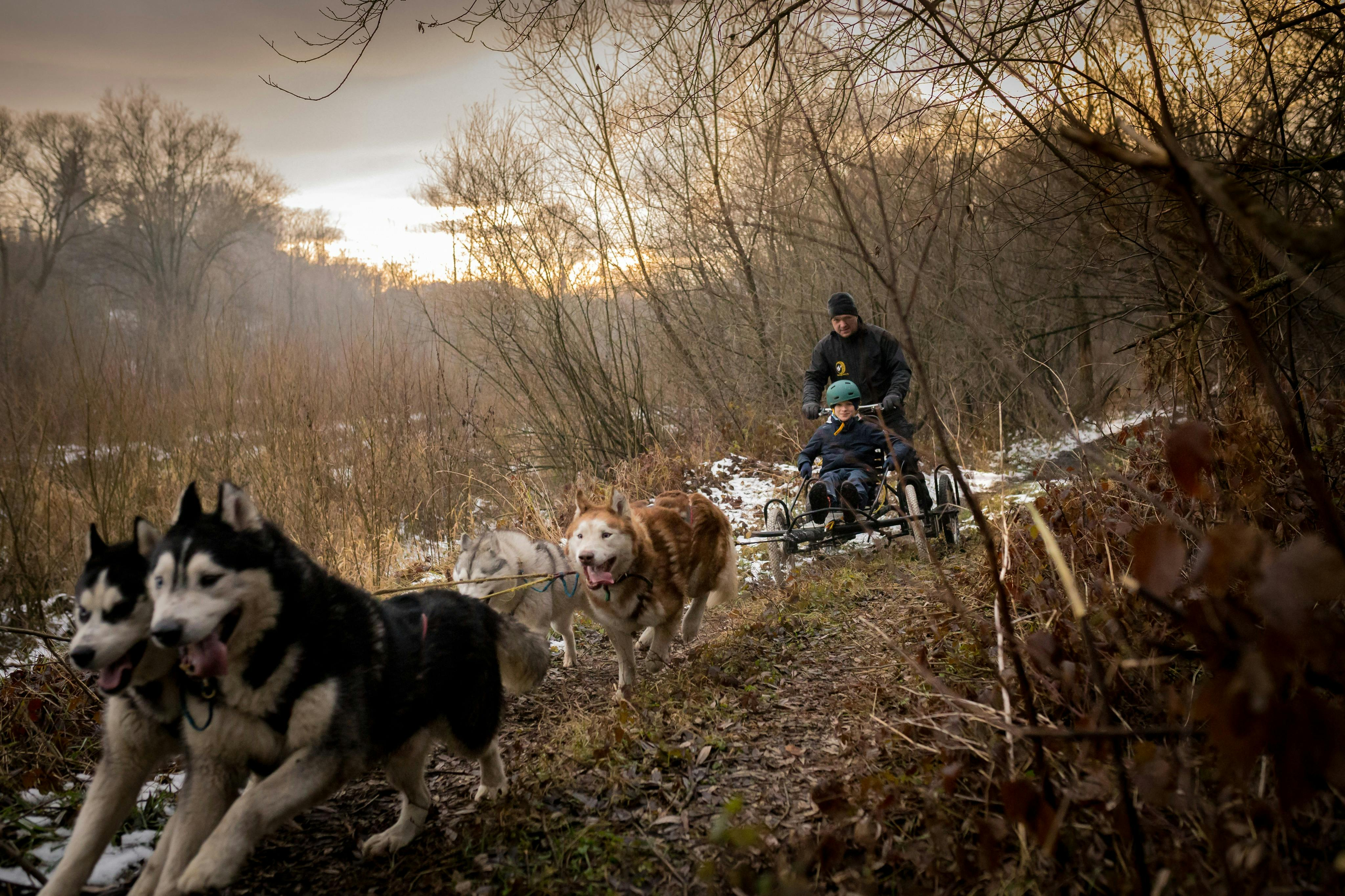 Zakopane: Dogsled Ride in Tatra Mountain from Krakow - Photo 1 of 9