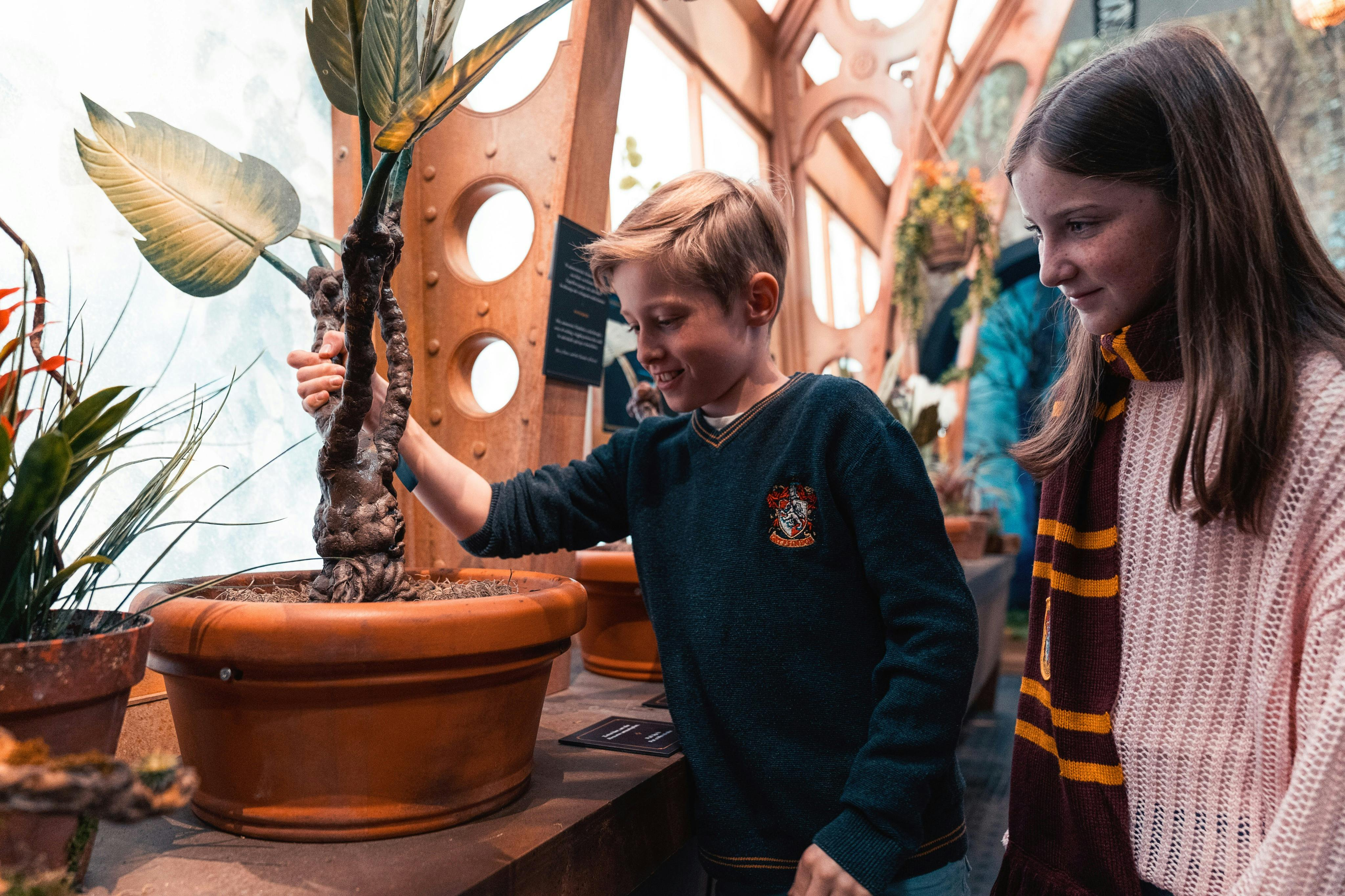 Harry Potter - The Exhibition Krakow: Fast Track Ticket + Transfers - Photo 1 of 3