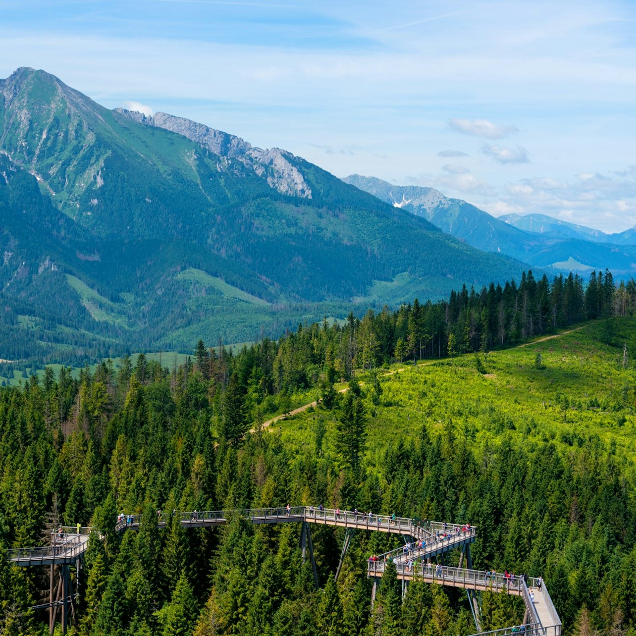Zdiar : Treetop Walk Bachledka Private Tour from Krakow - Photo 1 of 3