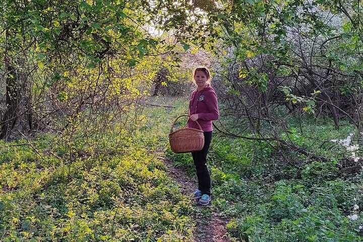 Herbal and Wild food walking tour in Warsaw area - Photo 1 of 5
