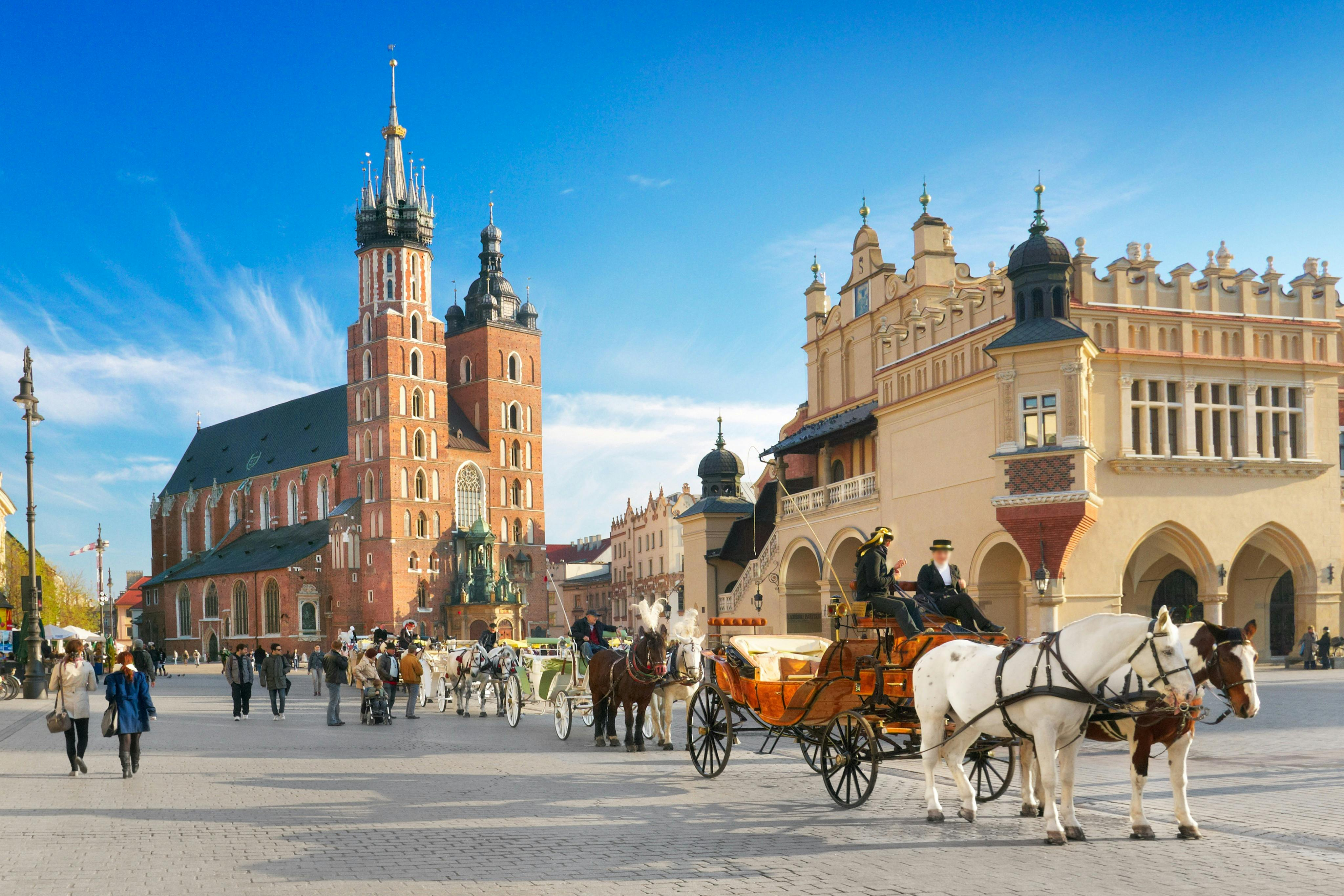 Old Town & Wawel Hill Krakow: Private Morning Guided Tour - Photo 1 of 6