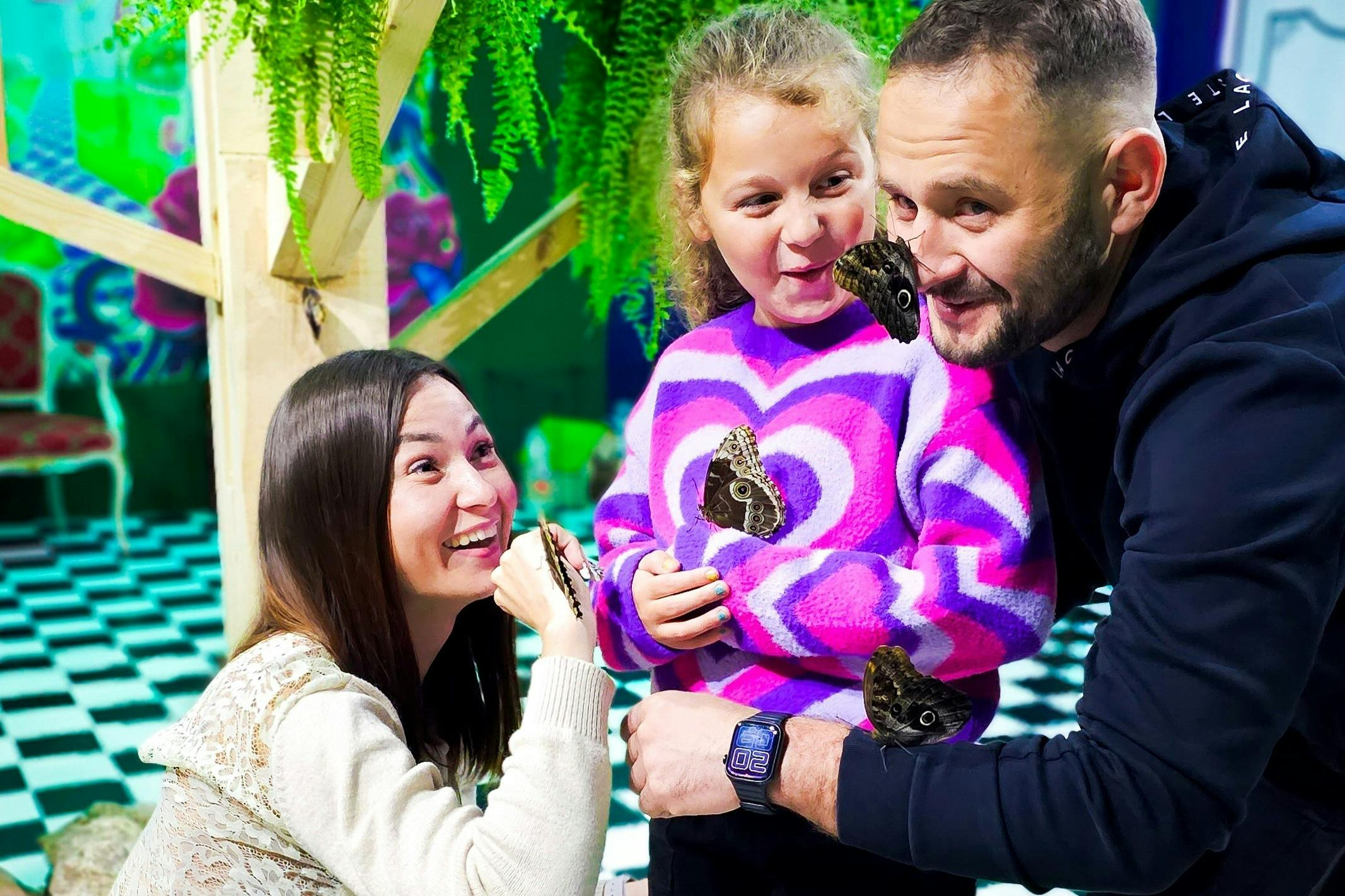 Krakow: Museum of the Living Butterfly - Photo 1 of 5