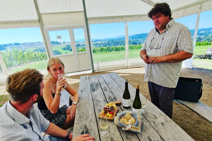 Private Wine Tasting at Vineyard From Krakow - Photo 1 of 20