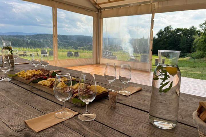 Wieliczka Vineyard: Wine tasting with local snacks - Photo 1 of 8