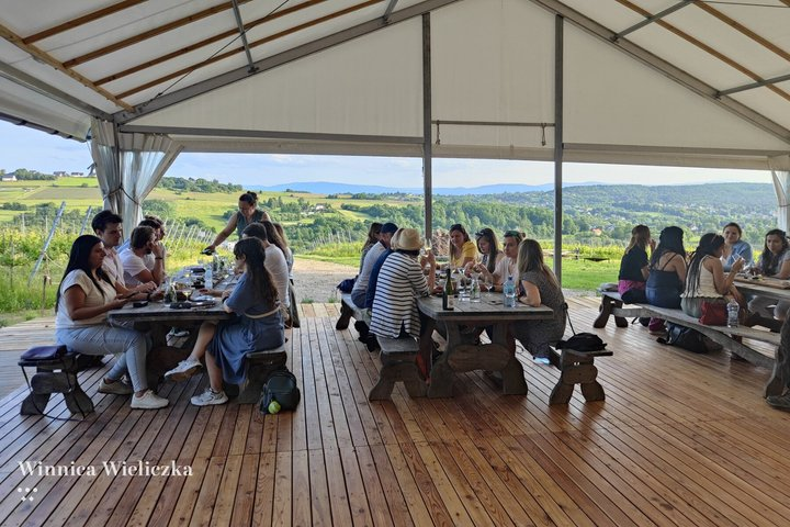 Wieliczka Vineyard: Wine tasting with local snacks - Photo 1 of 9