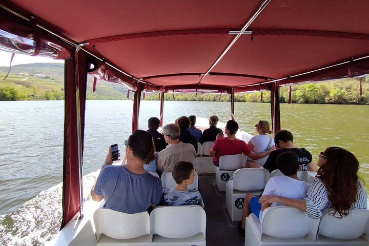Boat tour 50min through the river Douro in Pinhão - Photo 1 of 5