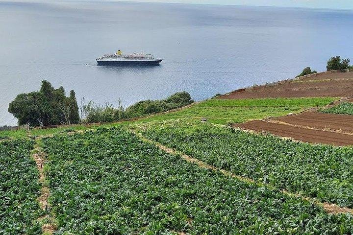 Vegetable Farm