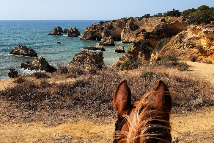 Algarve - Exclusive horseriding in Portimao (no experience required) - Photo 1 of 7