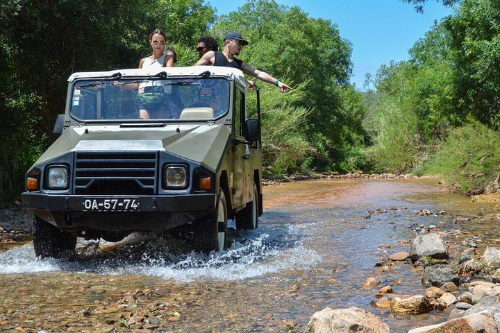 Algarve Safari - Half Day from Albufeira - Photo 1 of 15