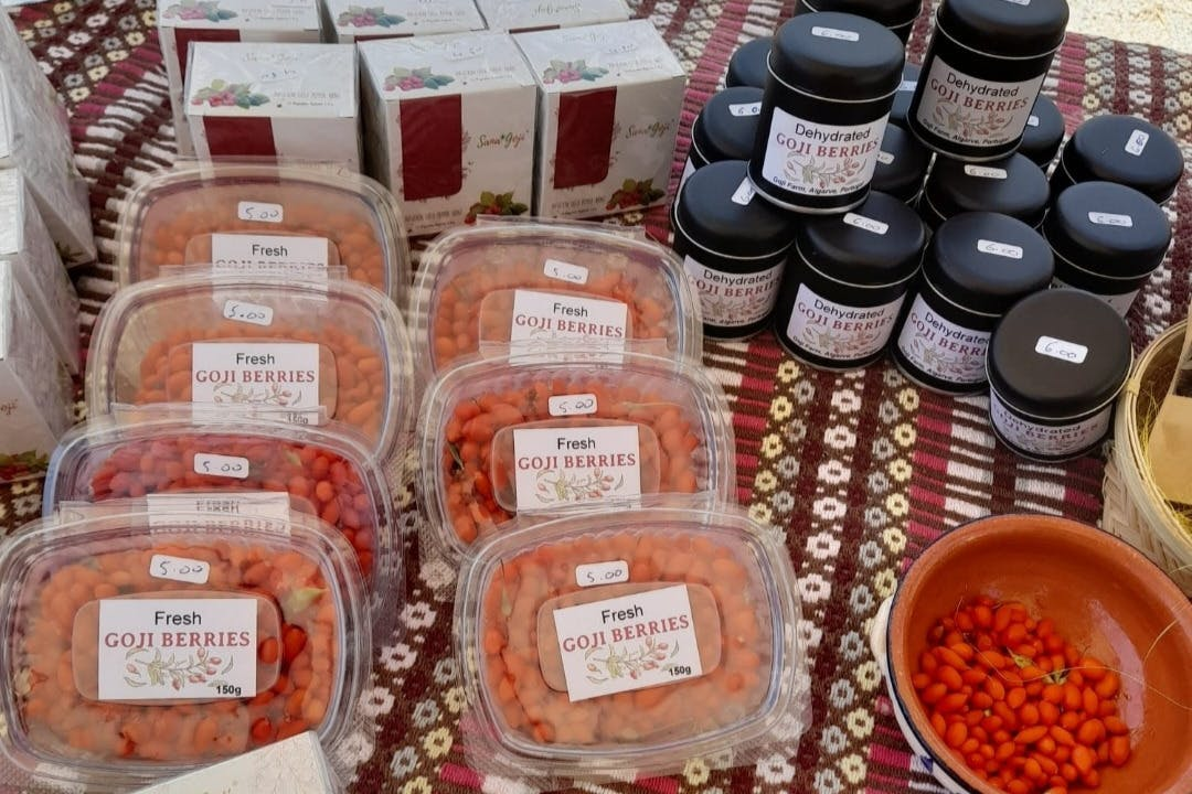 Algarve: Sunset Jeep Tour + Drink - Photo 1 of 16