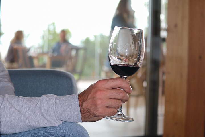 Lagos, Portimão & Carvoeiro: Wine Tasting, Tapas & Music Tour - Photo 1 of 17