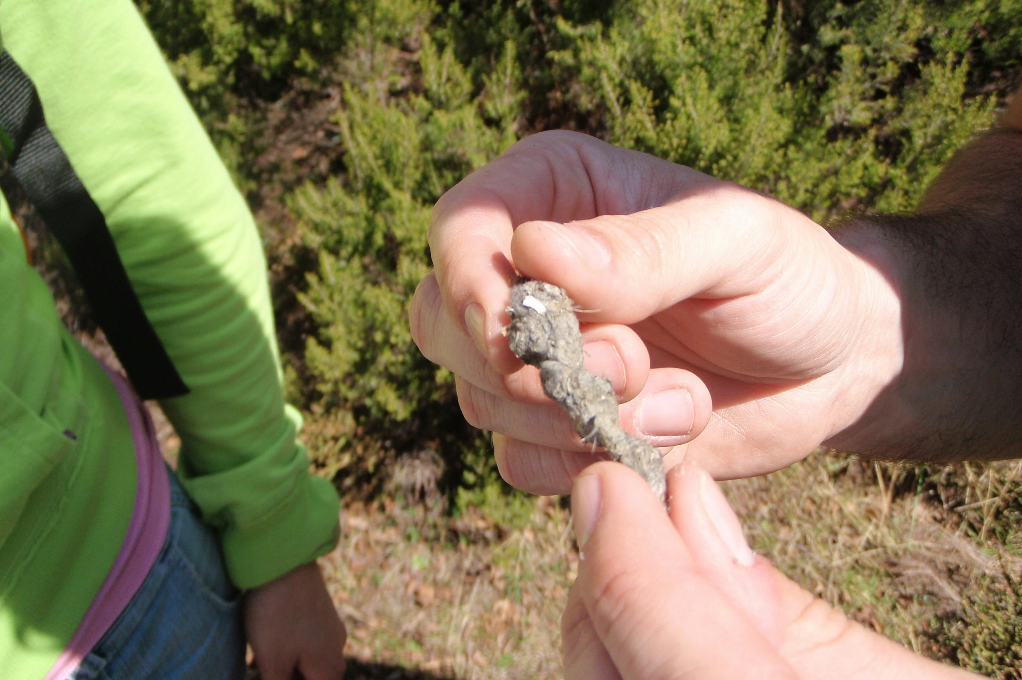 Alvão Natural Park: Guided Tour - Photo 1 of 3