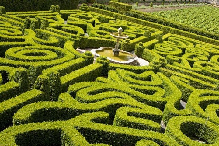 Arrabida & Wine Experience - Photo 1 of 8