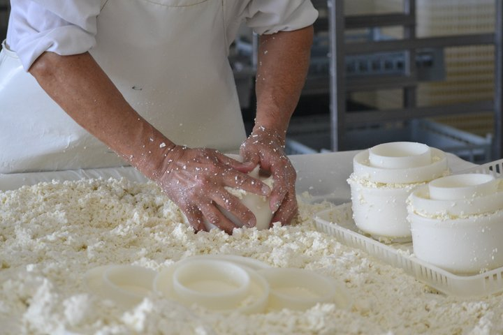 Private Lisbon Cheese Factory, Wine Tasting & Tile Painting Tour - Photo 1 of 16