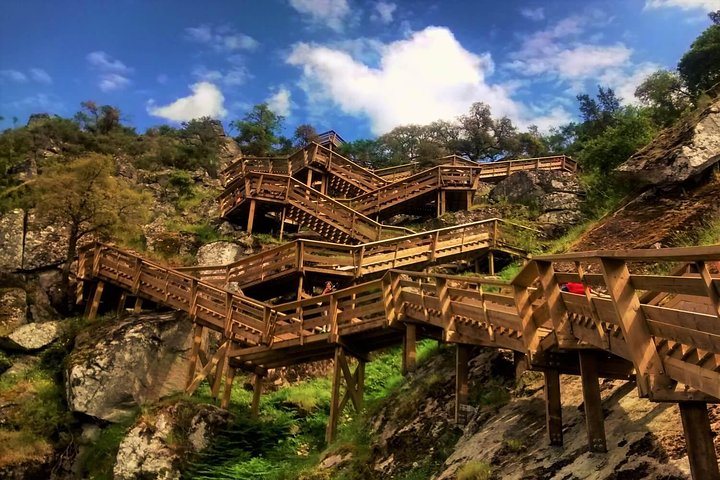 Experience a scenic 5km walk along the Paiva Walkways surrounded by nature while crossing the stunning suspension bridge above the river. Ideal for leisurely exploration and picturesque moments.