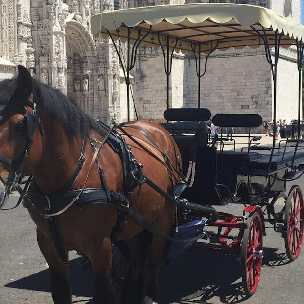 Lisbon: Horse-Drawn Carriage Ride in Belém - Photo 1 of 4