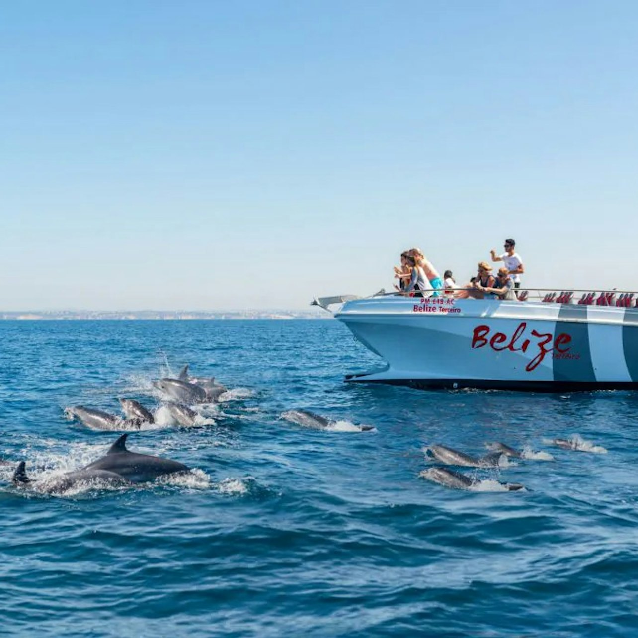 Benagil & Dolphin Watching: Catamaran Tour from Albufeira - Photo 1 of 8