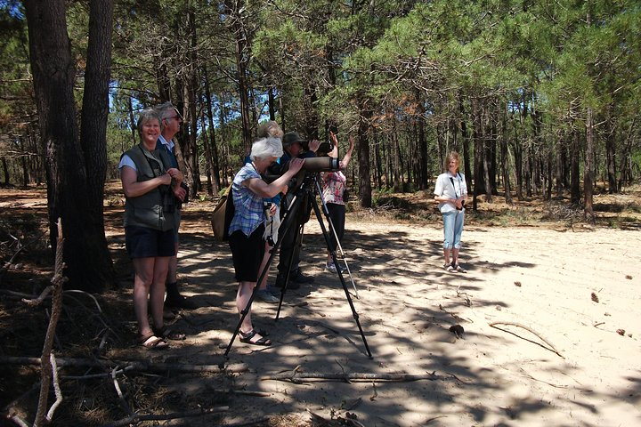 Group watching birds in Cabranosa (Sagres)