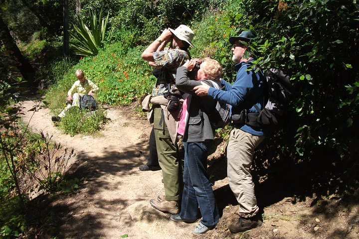 Group watching birds