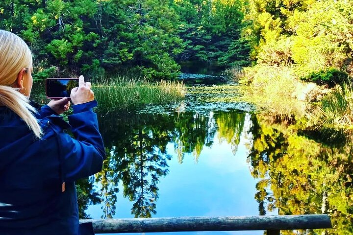 Hiking Trail Black Mysteries | Terceira Island - Photo 1 of 9