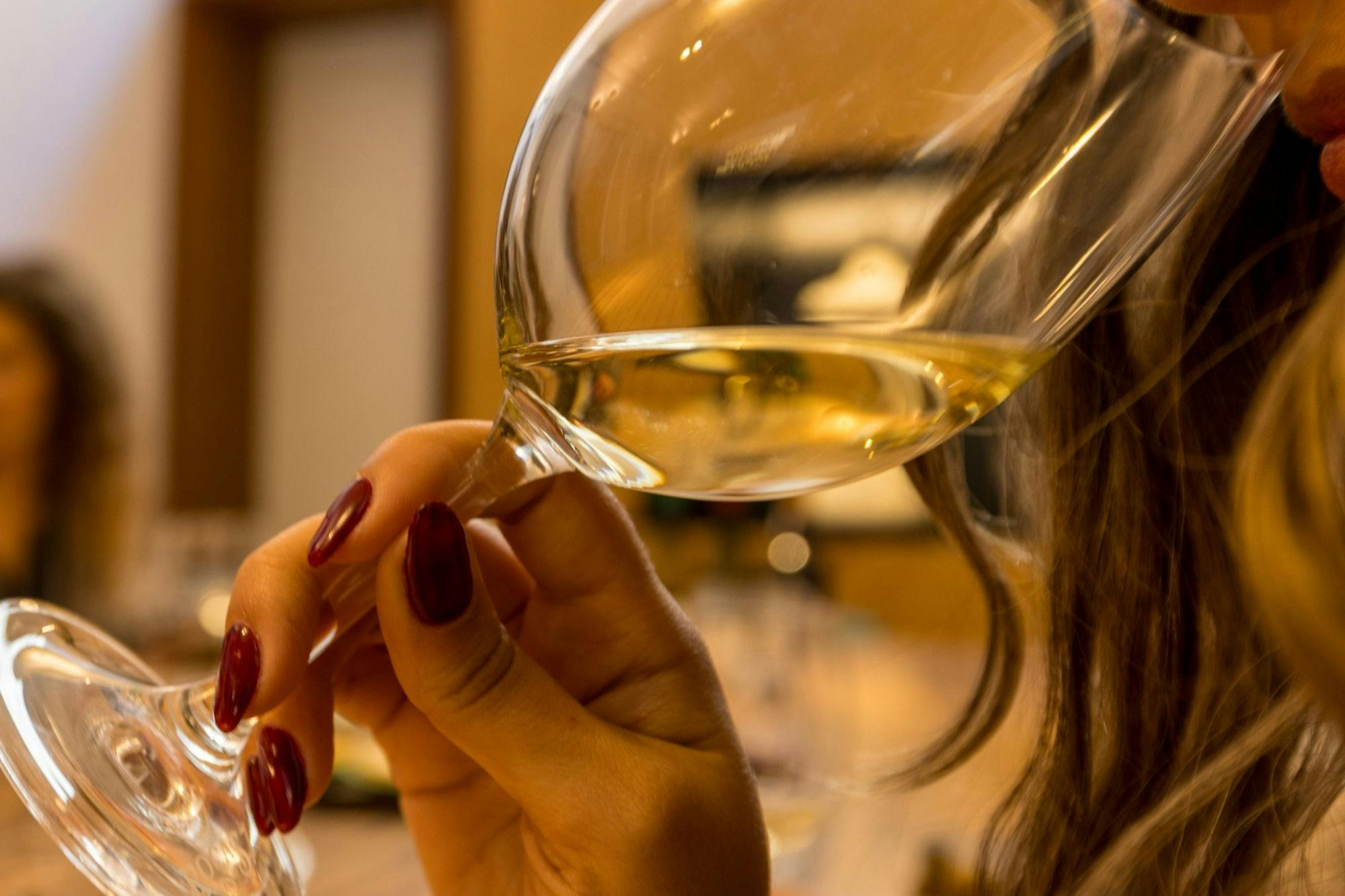 Caves Poças: Guided Tour + Tasting of 2 DOC Douro Wines + 1 Port Wine - Photo 1 of 7