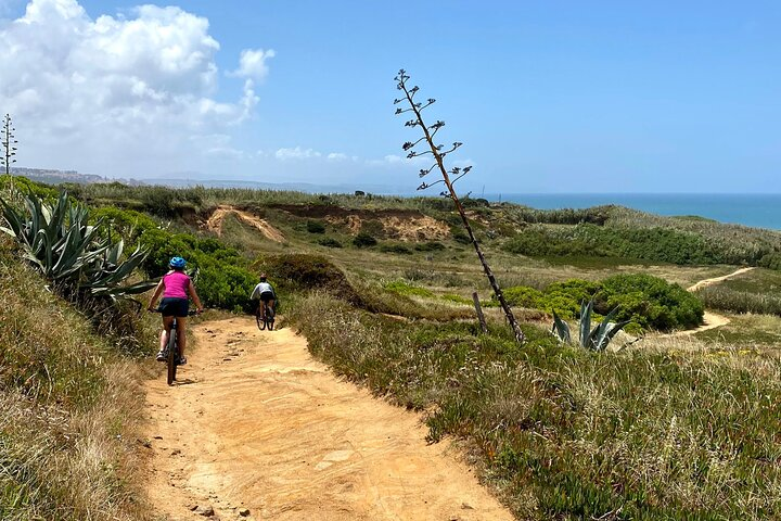 Cliff Top Ride - Photo 1 of 7
