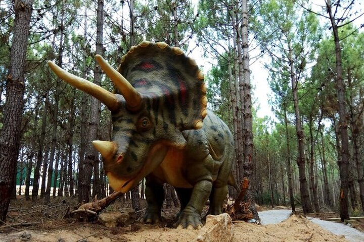 Dinosaurs Park - Family Half day tour - Photo 1 of 8