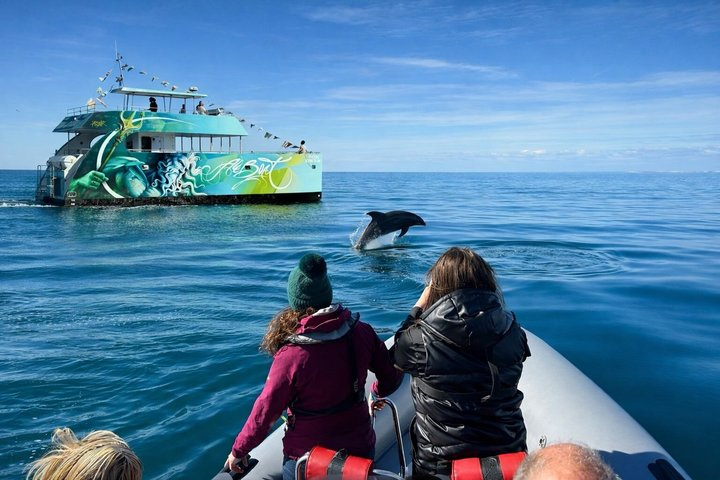 Dolphins Search and Benagil Caves from Albufeira - Photo 1 of 25