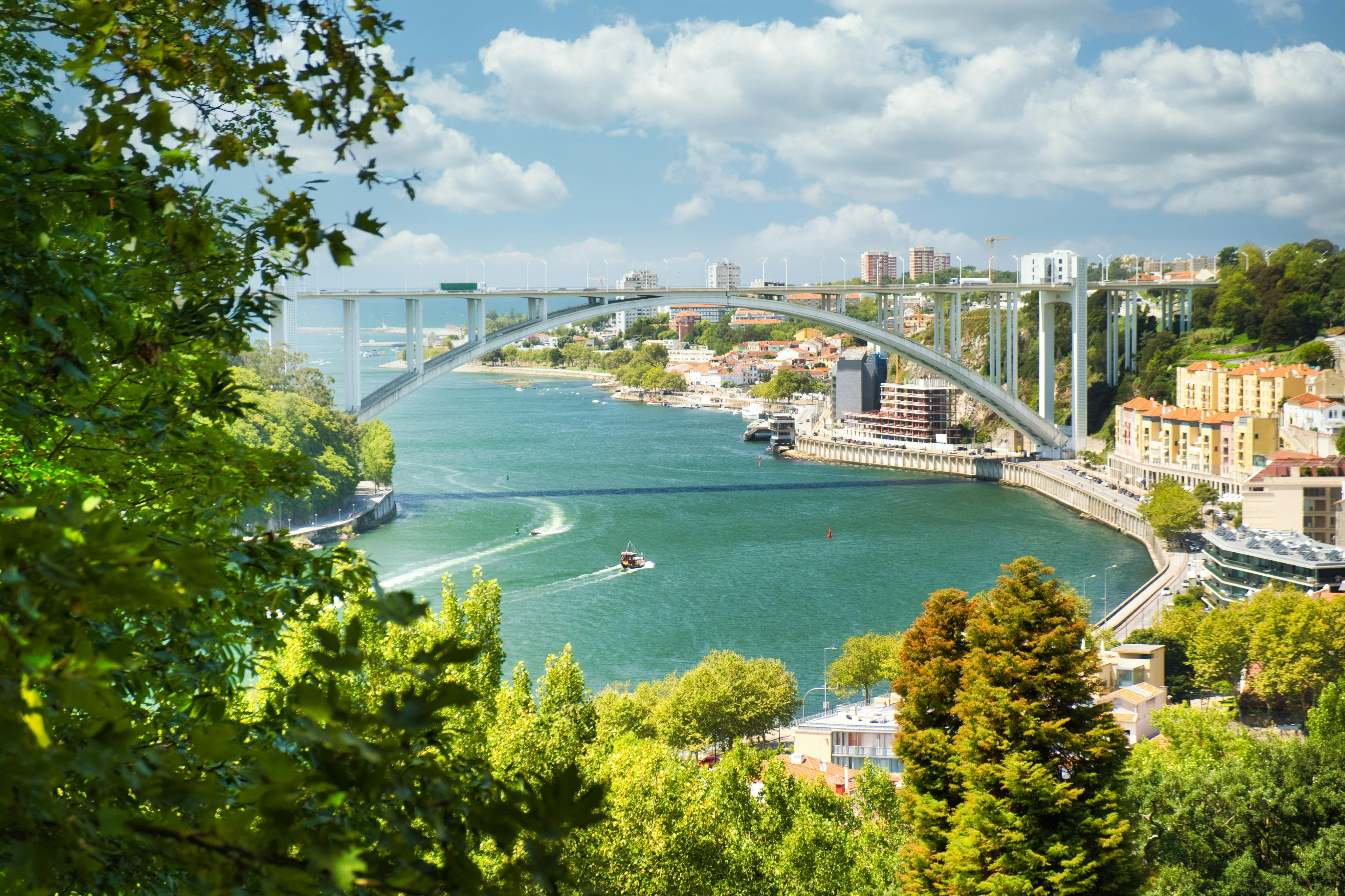 Douro River: Small-Group Walking Tour - Photo 1 of 3