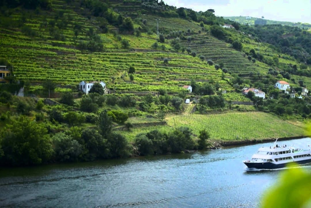 Douro Valley: Cruise + Breakfast, Lunch & Wine from Porto - Photo 1 of 10