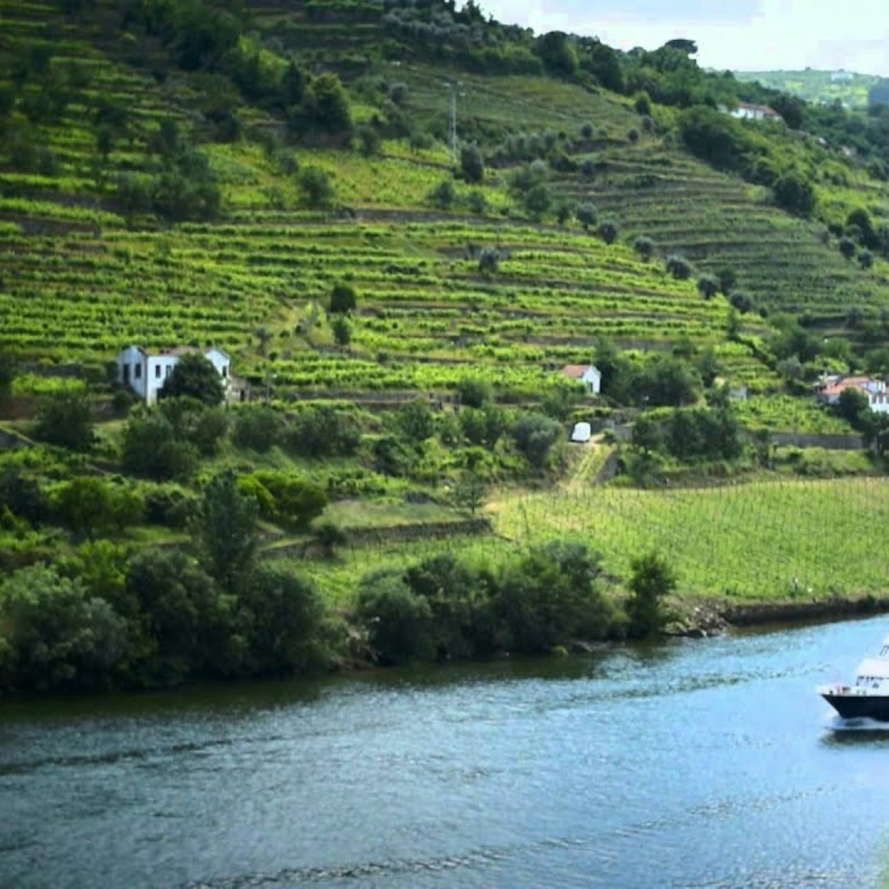 Douro Valley: Cruise + Breakfast, Lunch & Wine from Porto - Photo 1 of 10