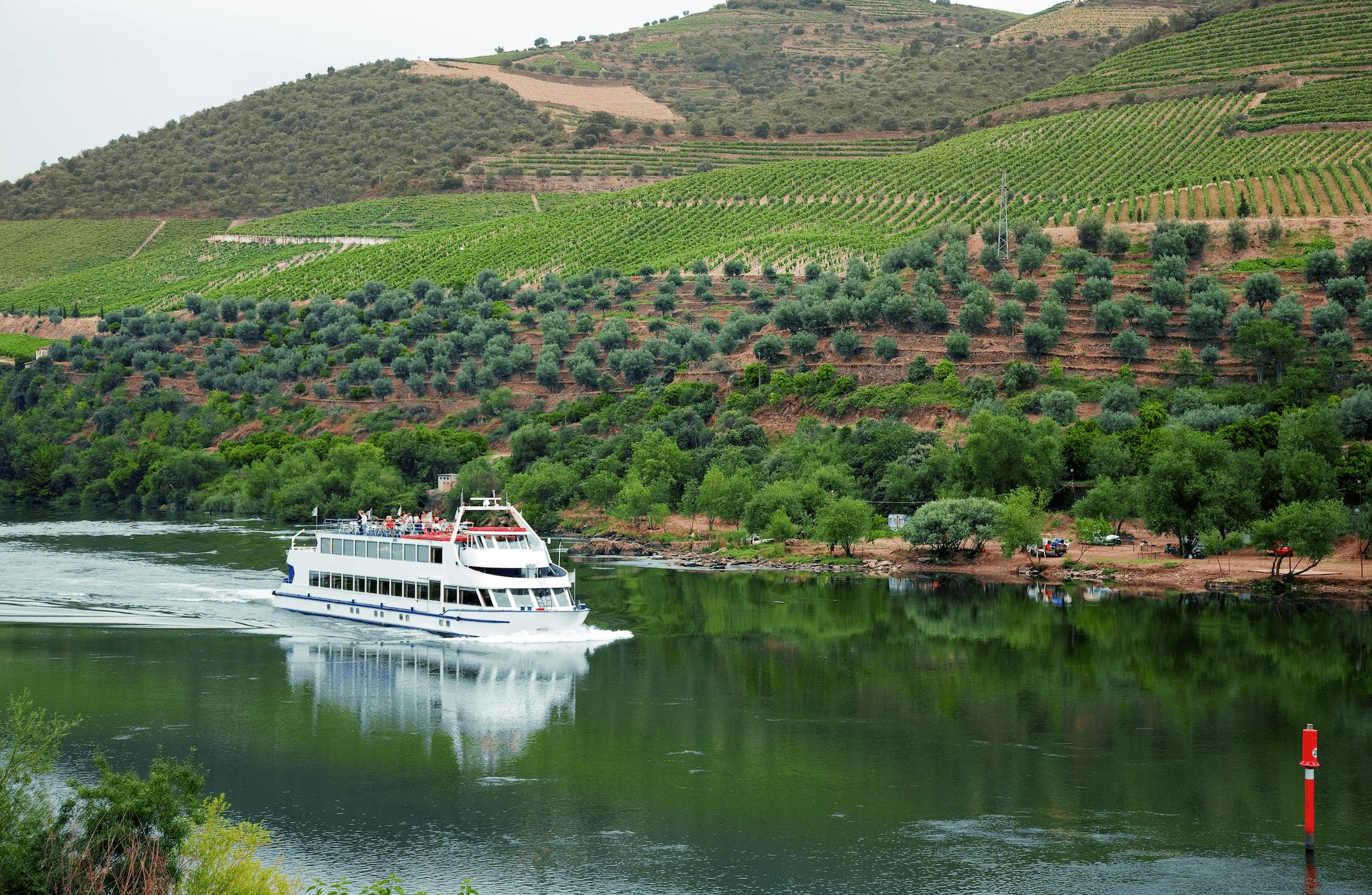 Douro Valley: River Cruise + Breakfast & Lunch from Porto - Photo 1 of 11