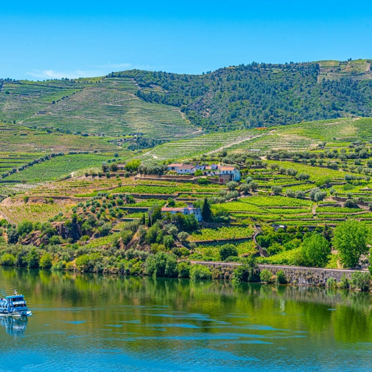 Douro Valley: River Cruise + Breakfast & Lunch from Porto - Photo 1 of 13