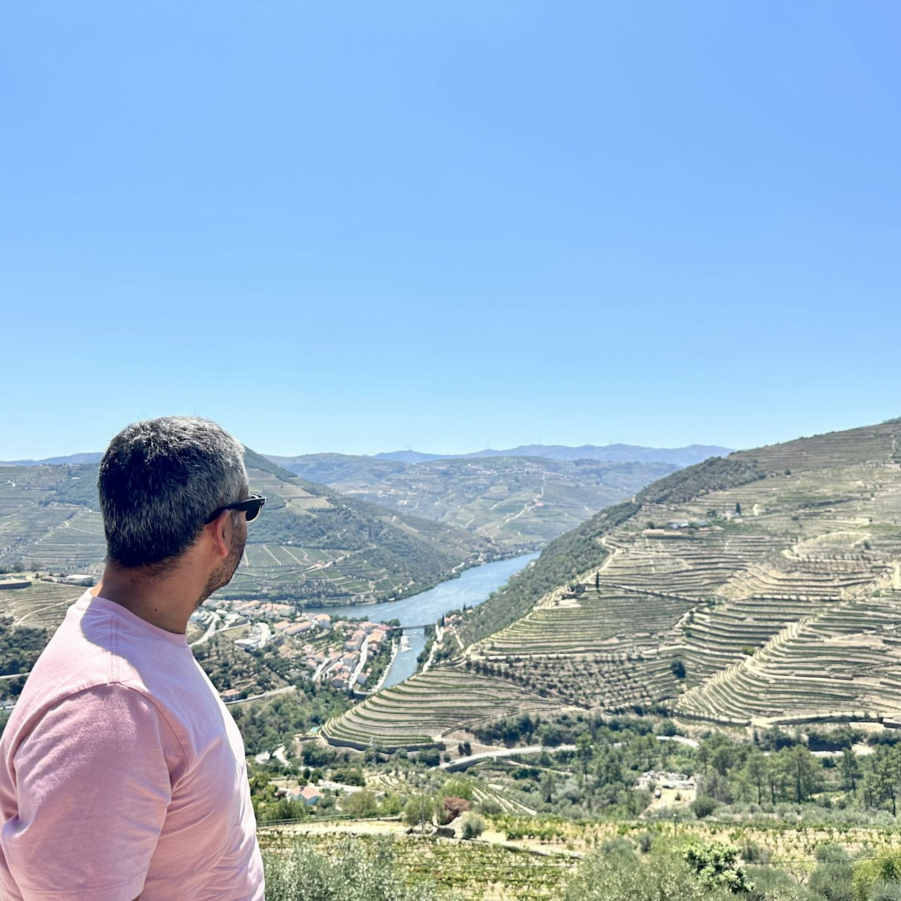 Douro Valley: Day Trip + Wine, Cheese, & Olive Oil Tasting from Porto - Photo 1 of 9