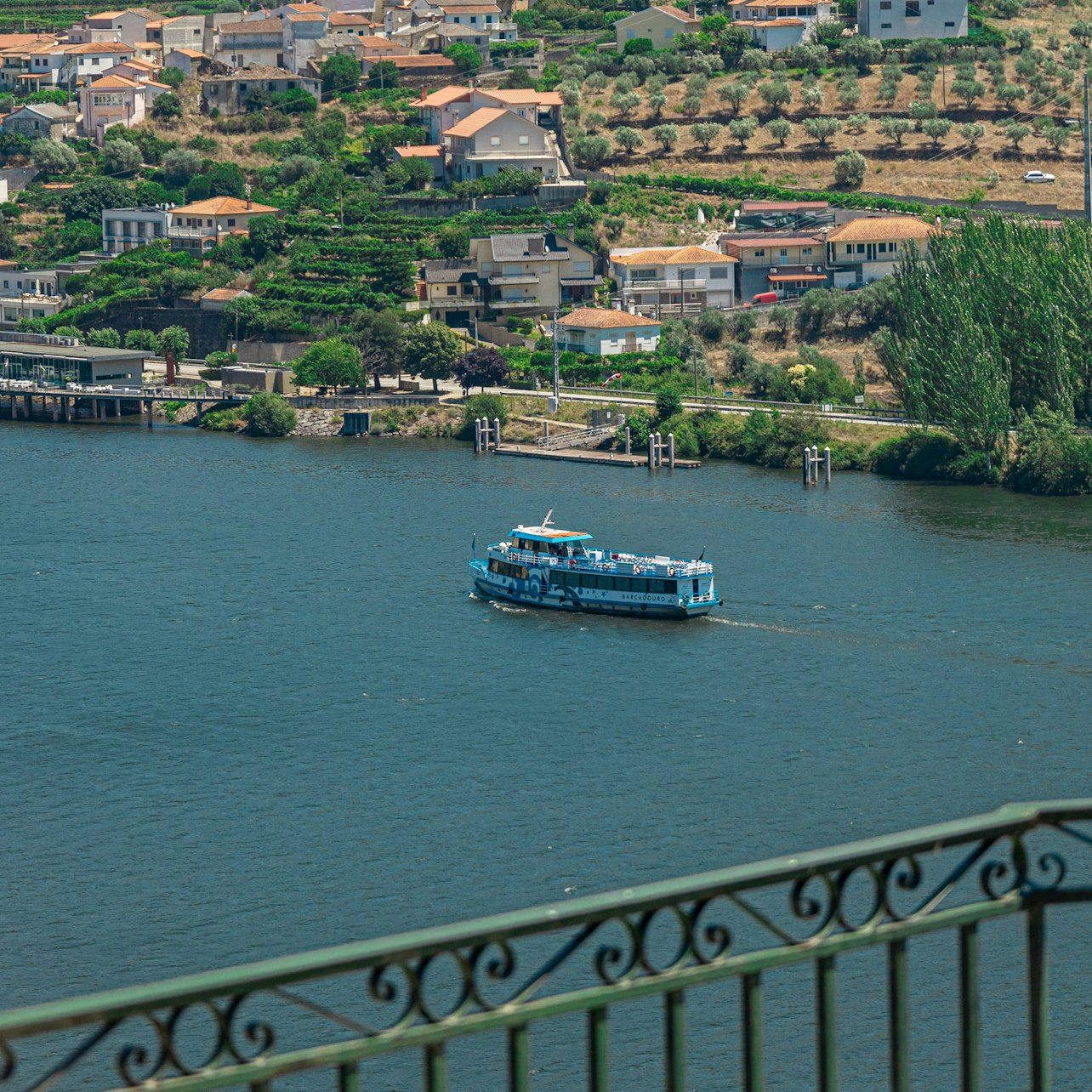 Douro Valley: Cruise + Lunch from Régua - Photo 1 of 10