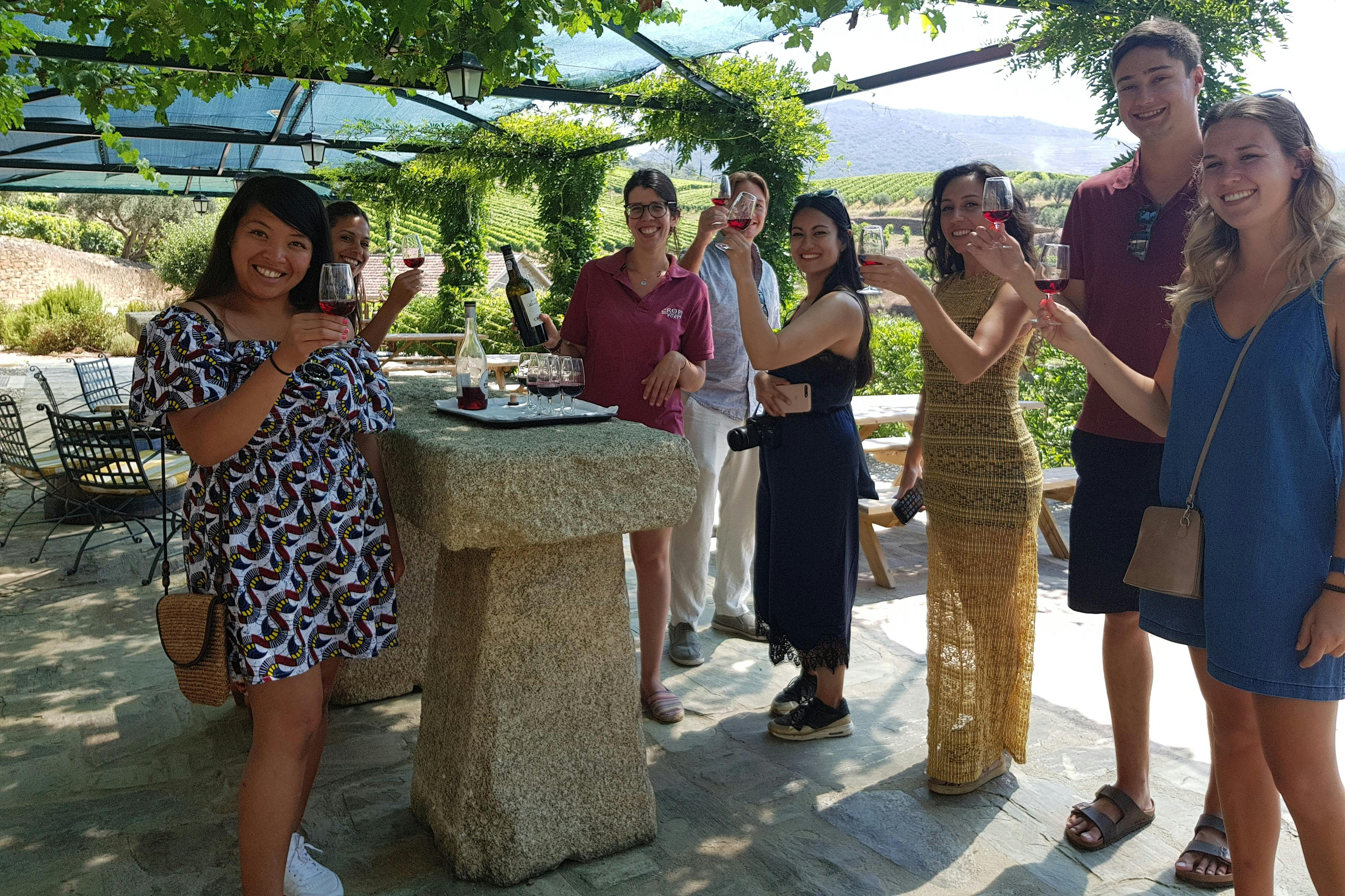 Douro Valley: Guided Wine Tour from Porto + Lunch - Photo 1 of 8