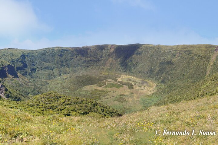 Half Day Faial Island Tour -Local Biologist  - Photo 1 of 10