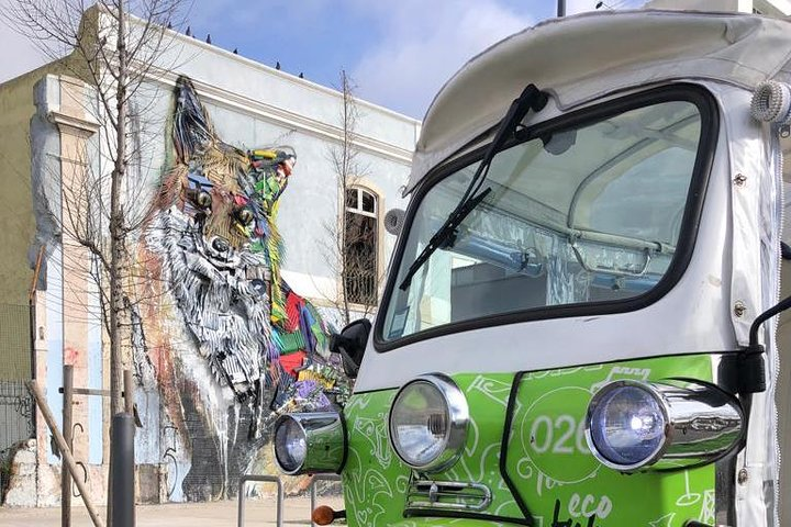 The Bordalo Fox II.