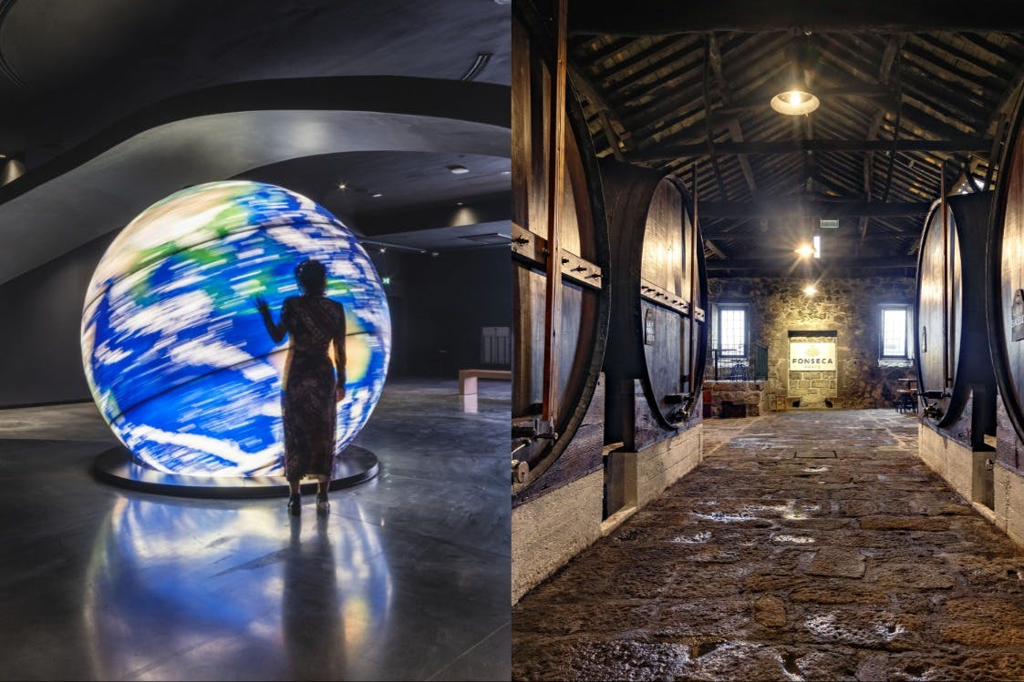 Fonseca Cellar & The Wine Experience: Tour + Tasting - Photo 1 of 12