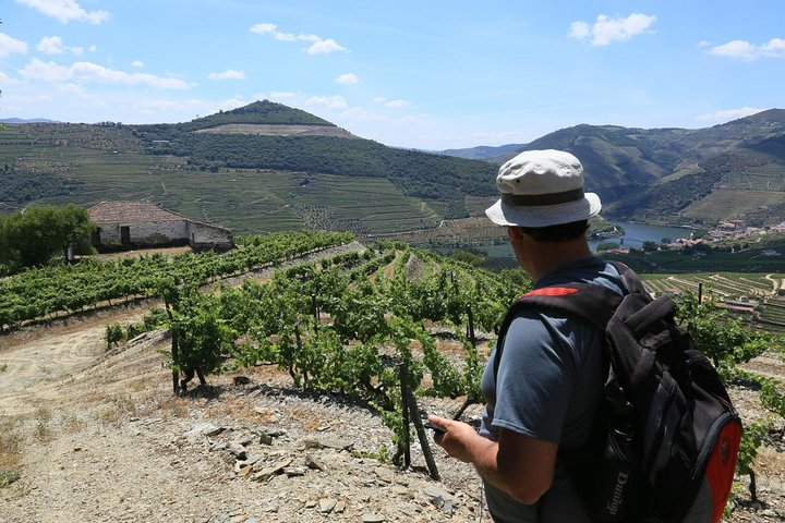 Douro Walking Tour