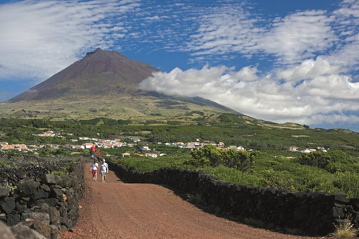 Criação Velha, Pico Island