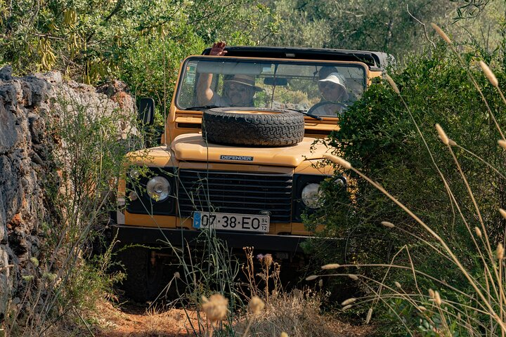 Full Day Private Safari in Algarve - Photo 1 of 11