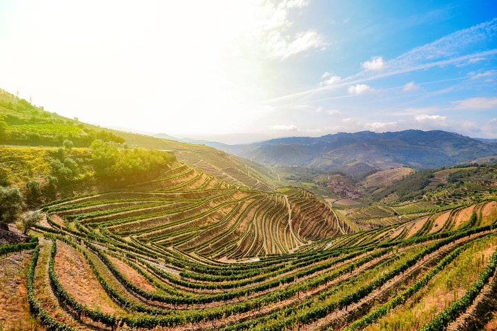 Douro Valley