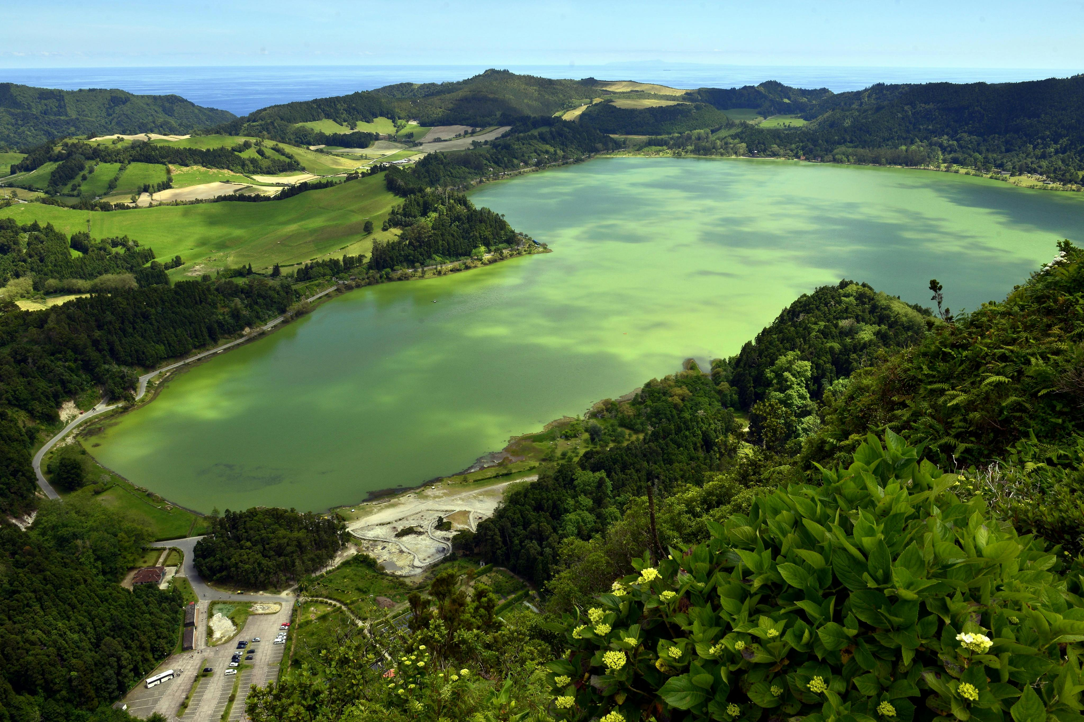 Furnas: Tea Plantations, Lake, and Volcano Guided Tour - Photo 1 of 6