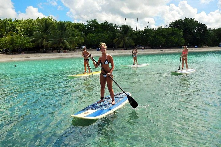 Learn Paddle with an amazing Tour
