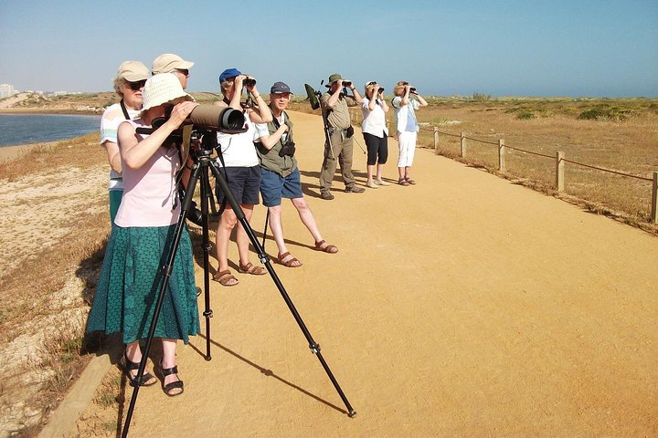 Group watching birds at Alvor